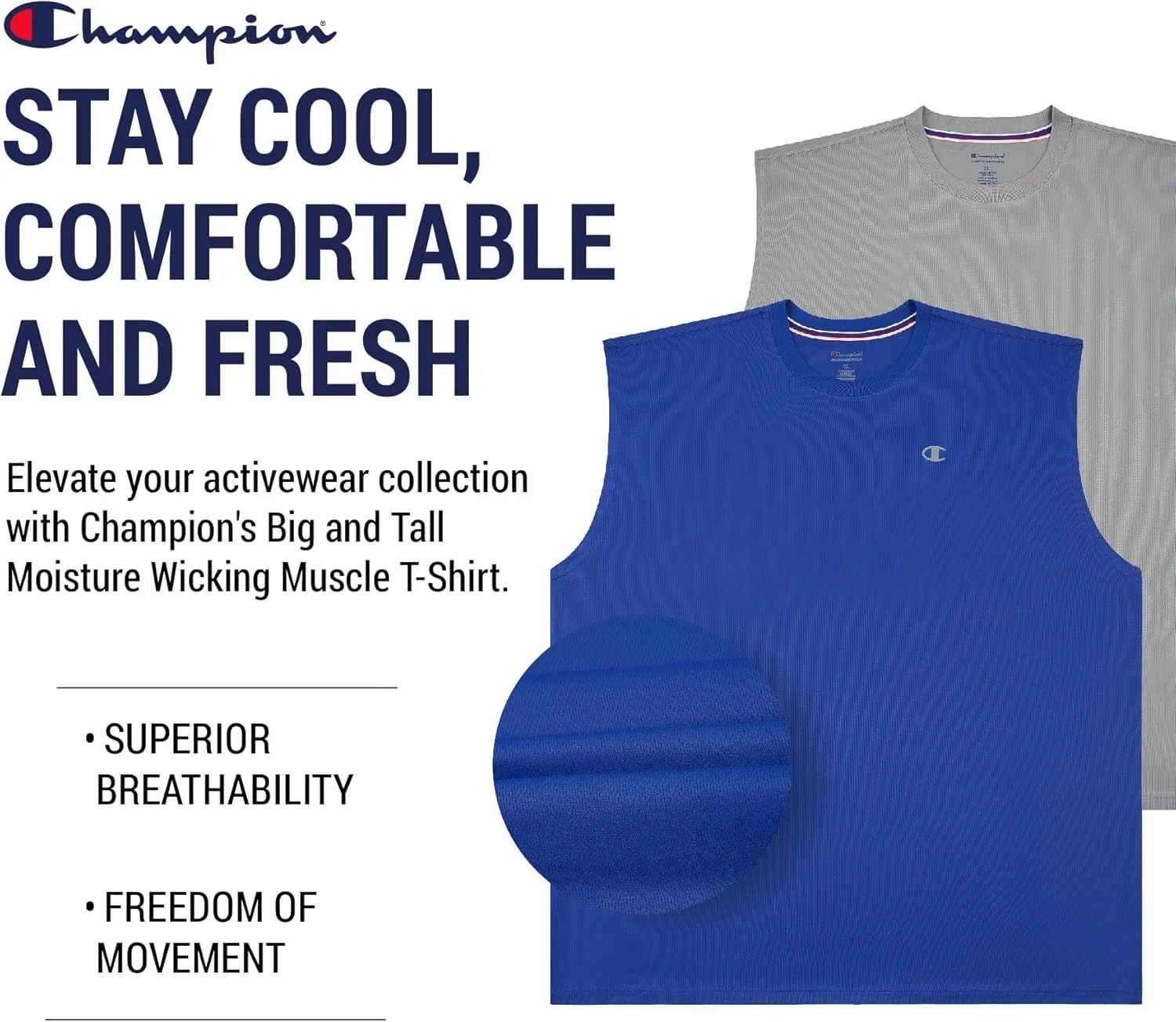 Champion Big and Tall Sleeveless Shirt for Men ?C 2 Pack Performance Muscle Shirt